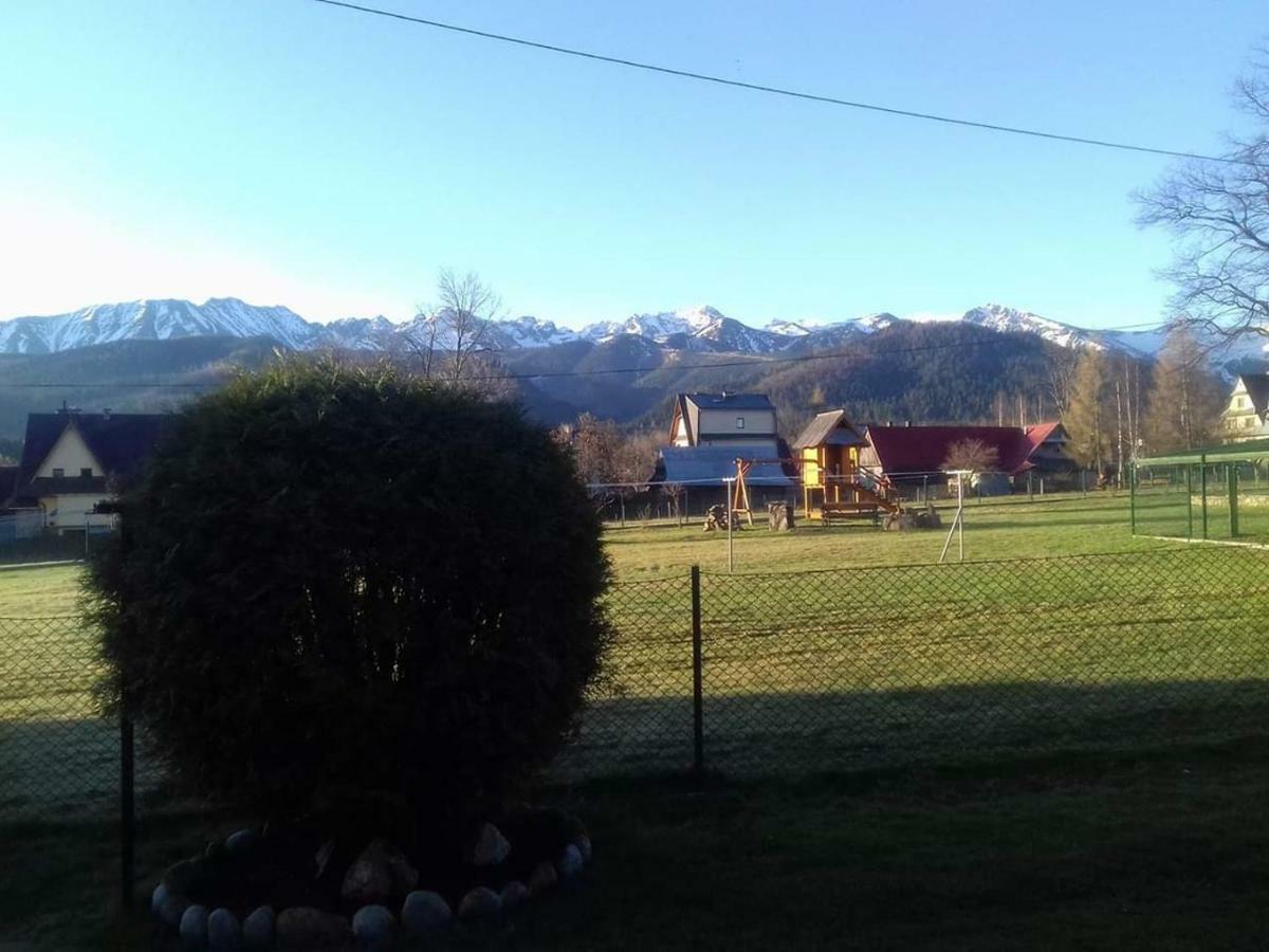 Willa Swajnos Zakopane Kültér fotó